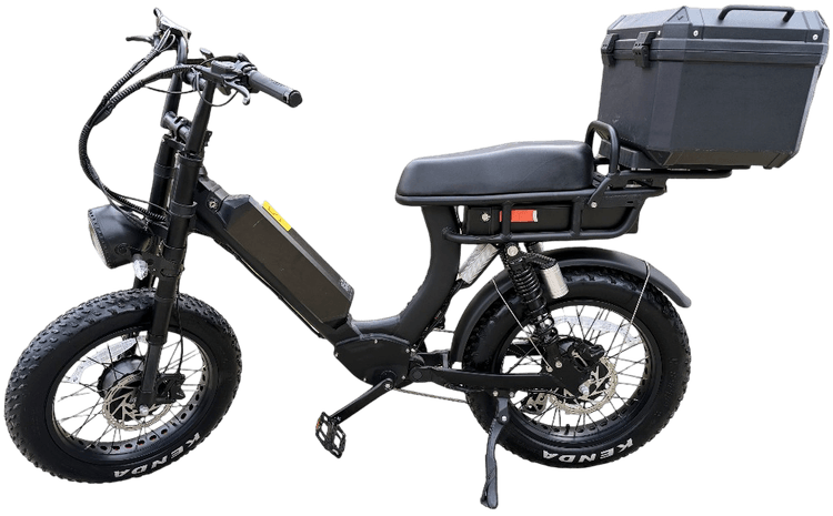 HIJOE Black Cat Dual Motor Electric Bike